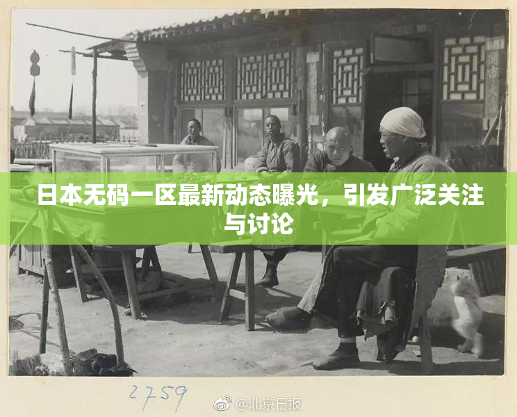 日本无码一区最新动态曝光，引发广泛关注与讨论