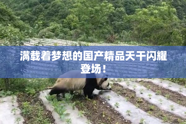 满载着梦想的国产精品天干闪耀登场！