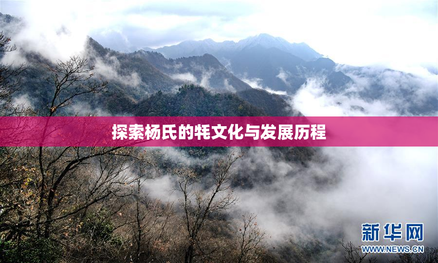 探索杨氏的牦文化与发展历程