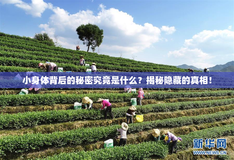 小身体背后的秘密究竟是什么？揭秘隐藏的真相！