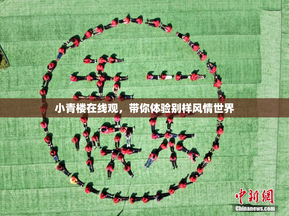 小青楼在线观，带你体验别样风情世界