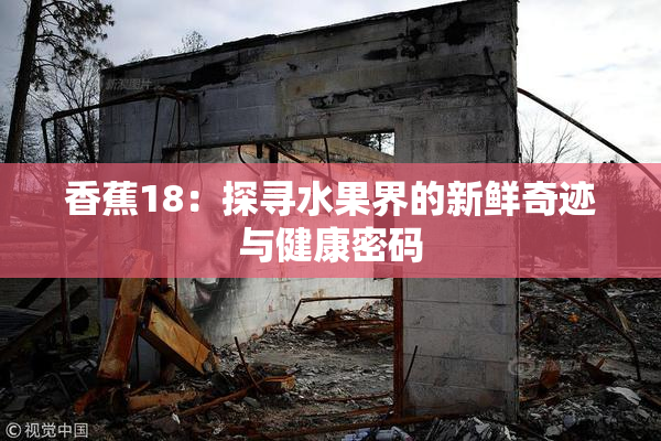 香蕉18：探寻水果界的新鲜奇迹与健康密码