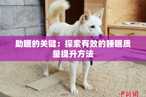 助眠的关键：探索有效的睡眠质量提升方法