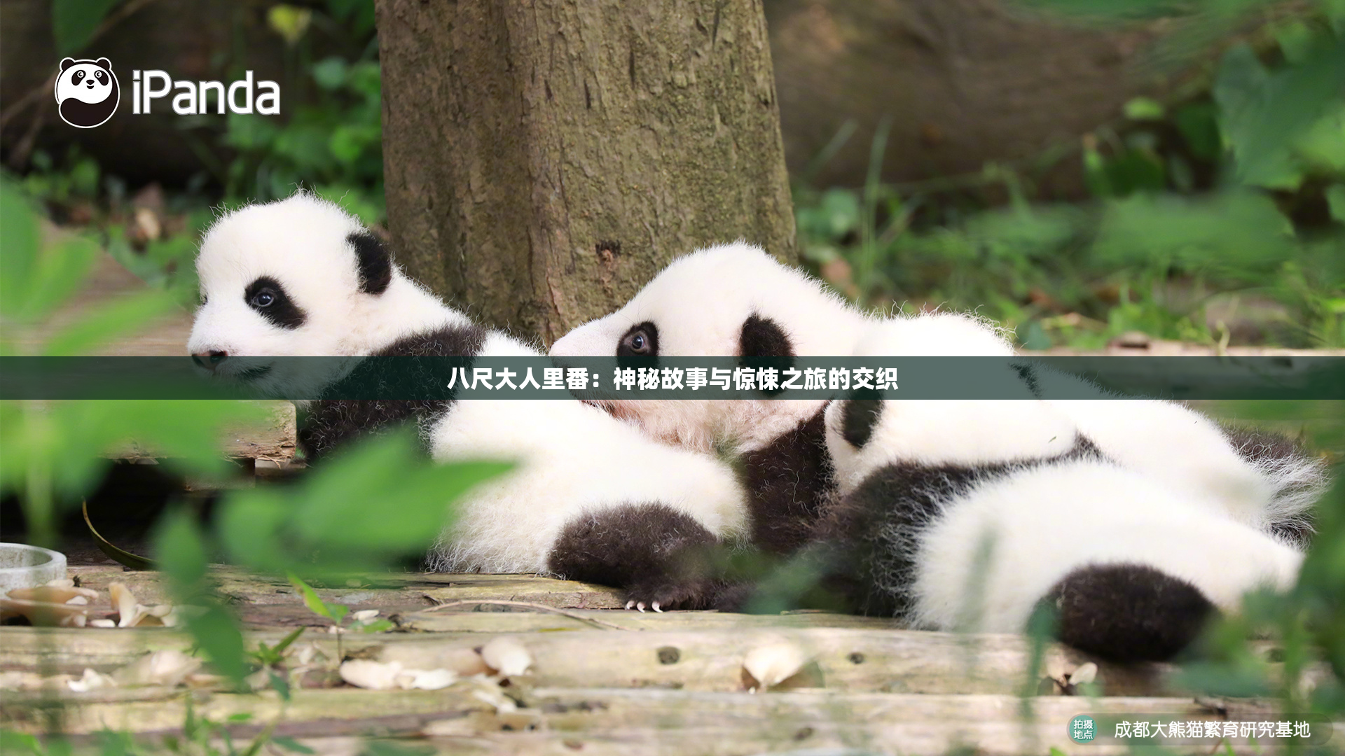 八尺大人里番：神秘故事与惊悚之旅的交织