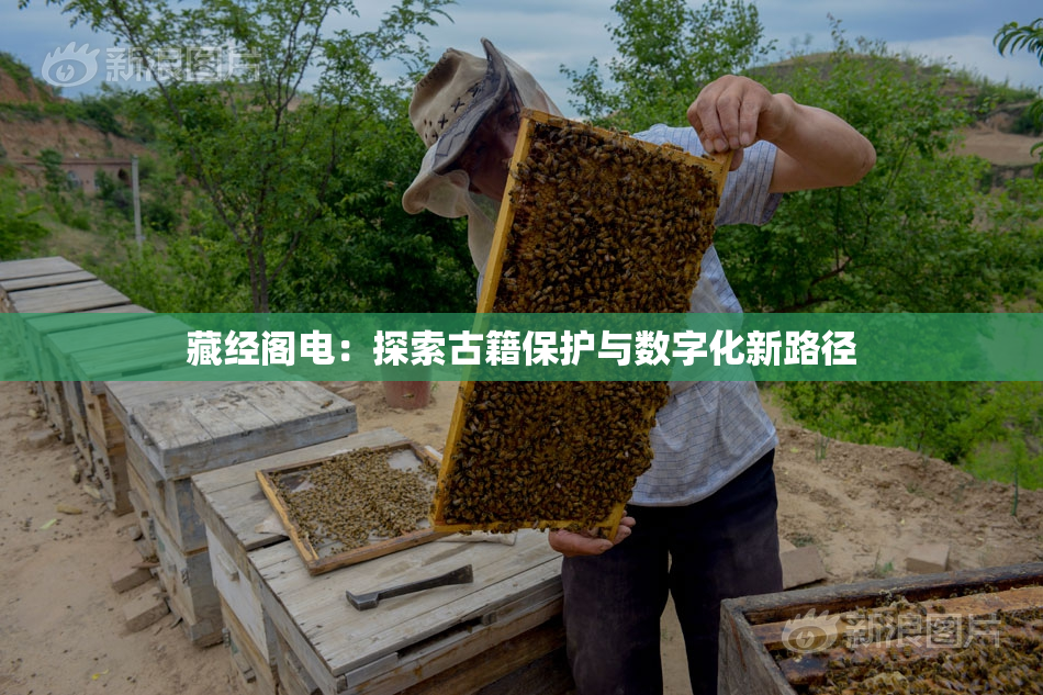 藏经阁电：探索古籍保护与数字化新路径
