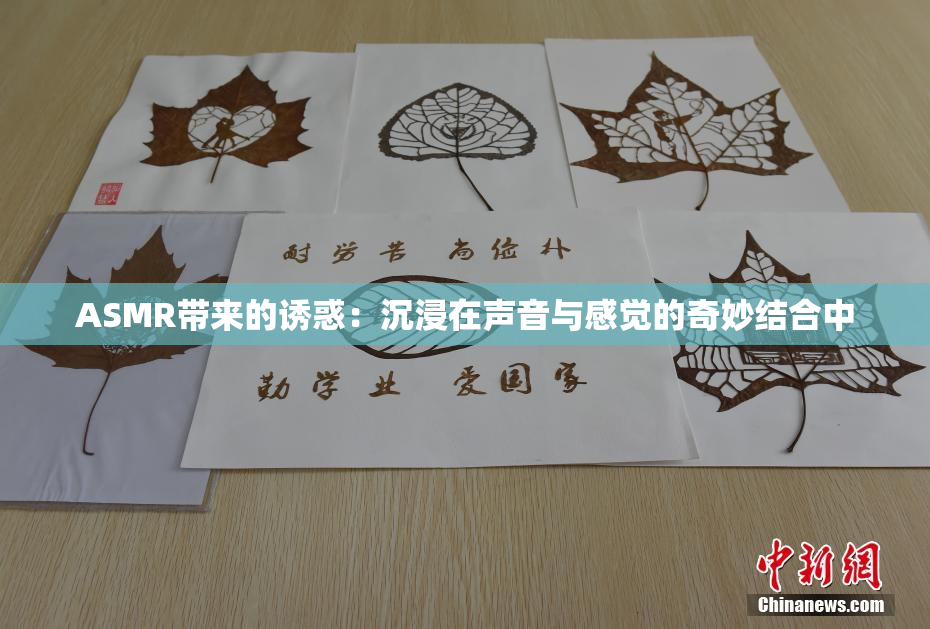 ASMR带来的诱惑：沉浸在声音与感觉的奇妙结合中