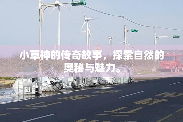 小草神的传奇故事，探索自然的奥秘与魅力。
