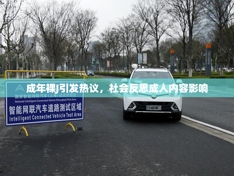 成年裸J引发热议，社会反思成人内容影响