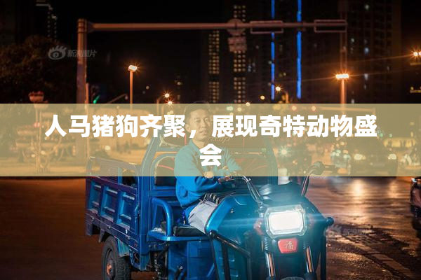 人马猪狗齐聚，展现奇特动物盛会