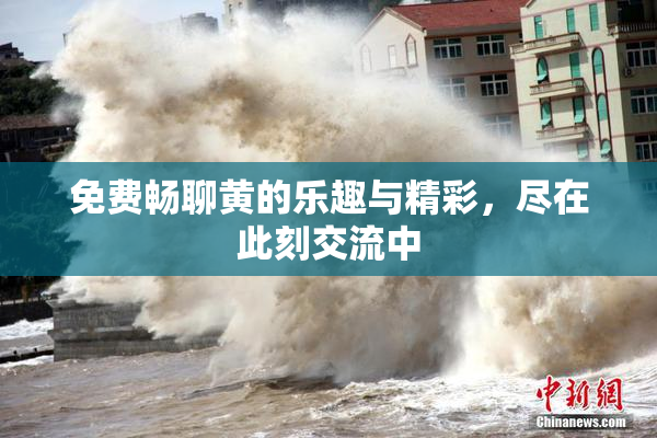 免费畅聊黄的乐趣与精彩，尽在此刻交流中