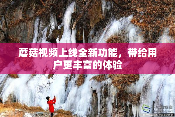 蘑菇视频上线全新功能，带给用户更丰富的体验