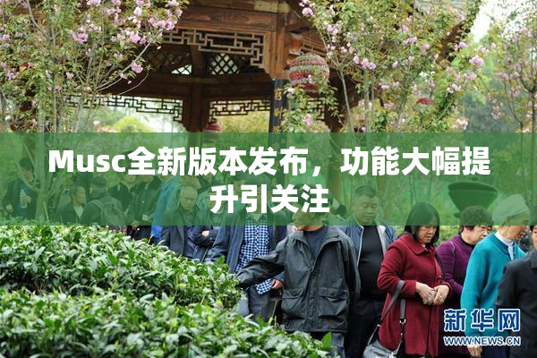 Musc全新版本发布，功能大幅提升引关注