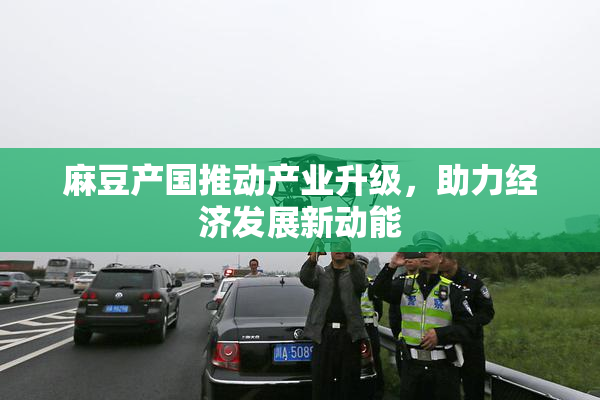 麻豆产国推动产业升级，助力经济发展新动能