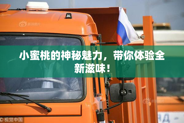 小蜜桃的神秘魅力，带你体验全新滋味！