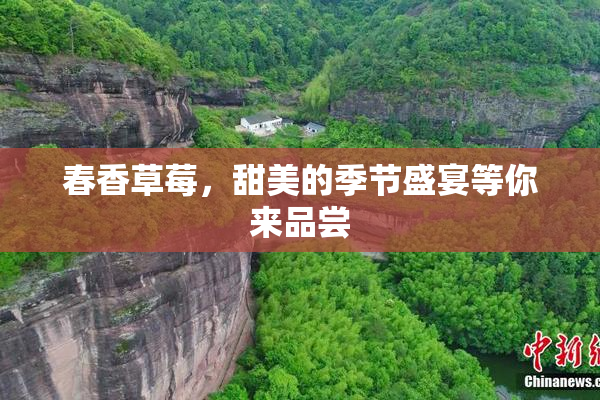 春香草莓，甜美的季节盛宴等你来品尝
