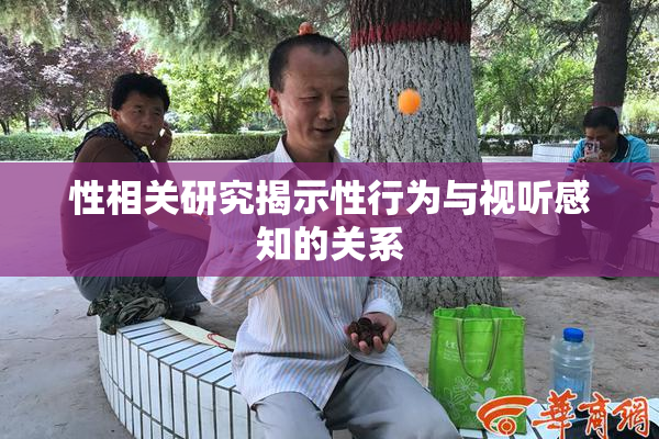 性相关研究揭示性行为与视听感知的关系