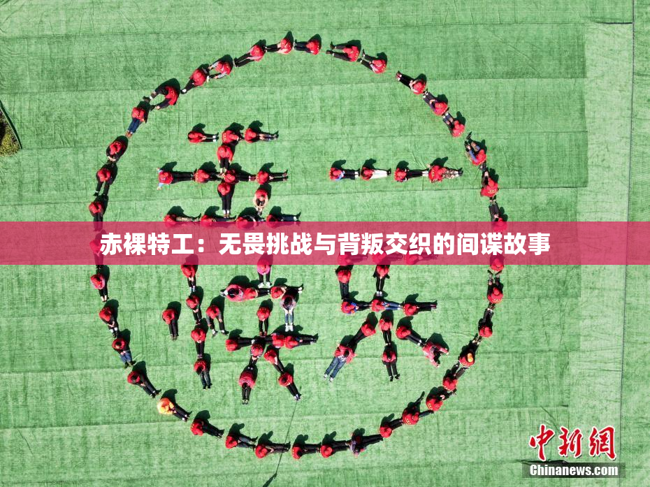赤裸特工：无畏挑战与背叛交织的间谍故事