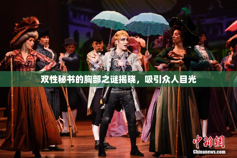双性秘书的胸部之谜揭晓，吸引众人目光