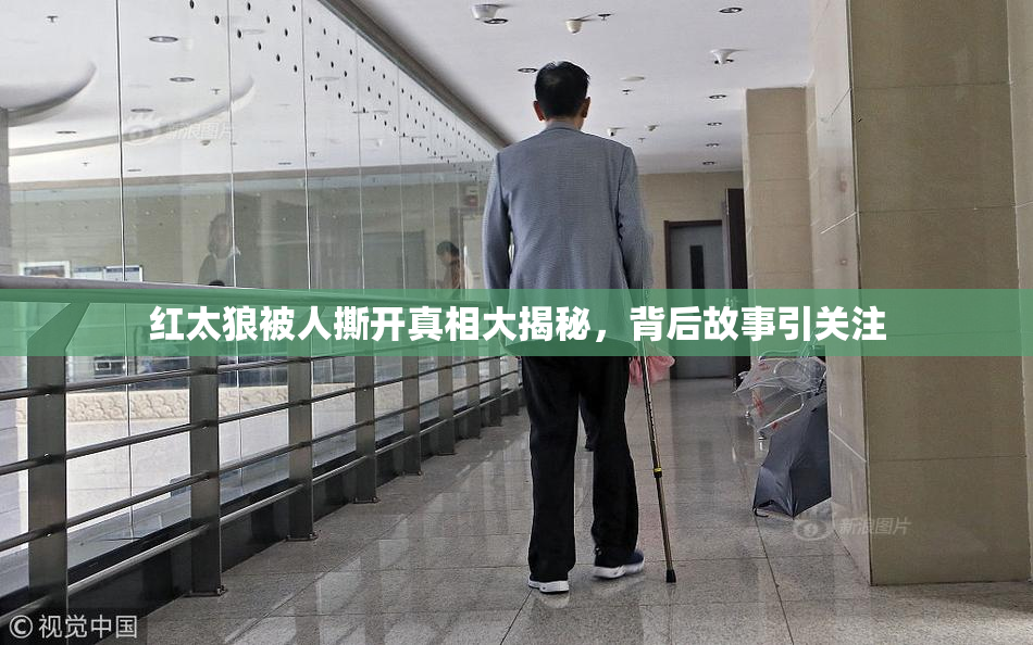 红太狼被人撕开真相大揭秘，背后故事引关注
