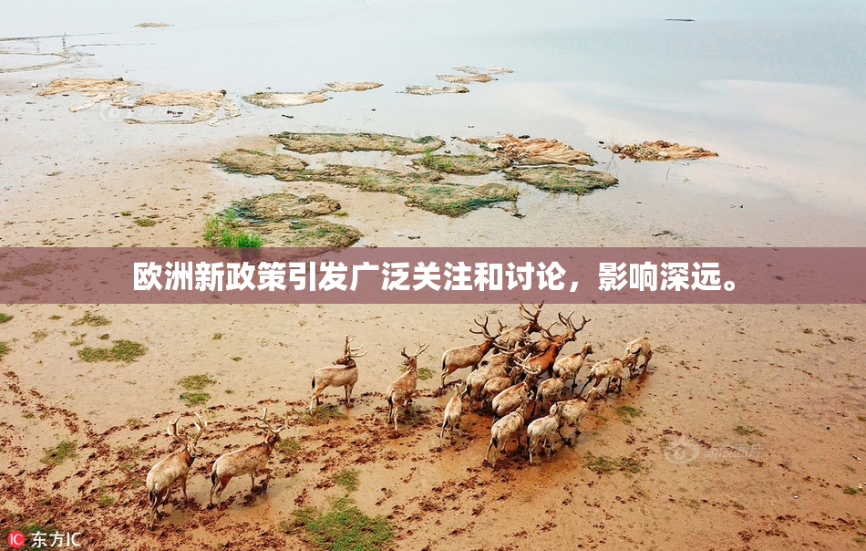 欧洲新政策引发广泛关注和讨论，影响深远。