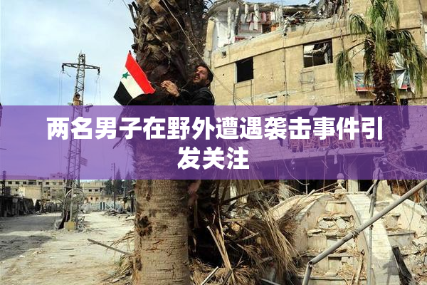 两名男子在野外遭遇袭击事件引发关注