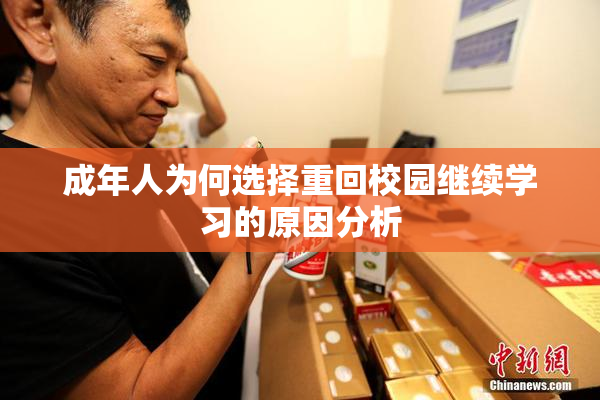 成年人为何选择重回校园继续学习的原因分析