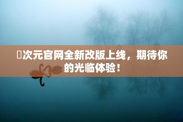 囧次元官网全新改版上线，期待你的光临体验！