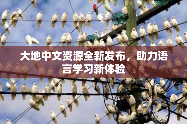 大地中文资源全新发布，助力语言学习新体验
