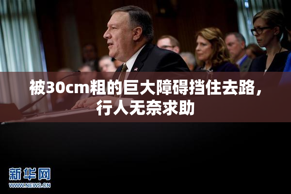 被30cm粗的巨大障碍挡住去路，行人无奈求助