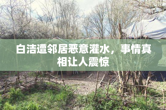 白洁遭邻居恶意灌水，事情真相让人震惊