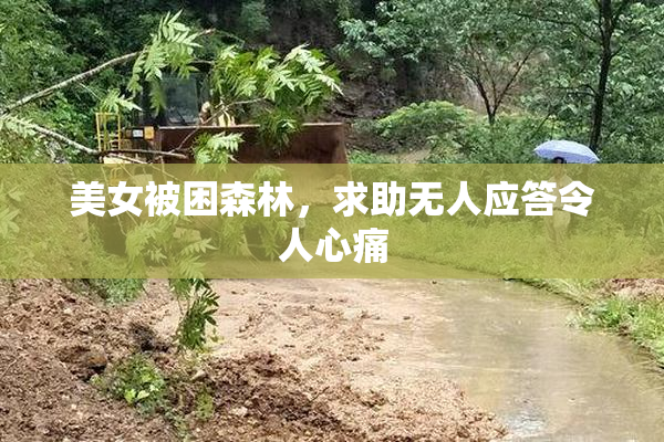 美女被困森林，求助无人应答令人心痛