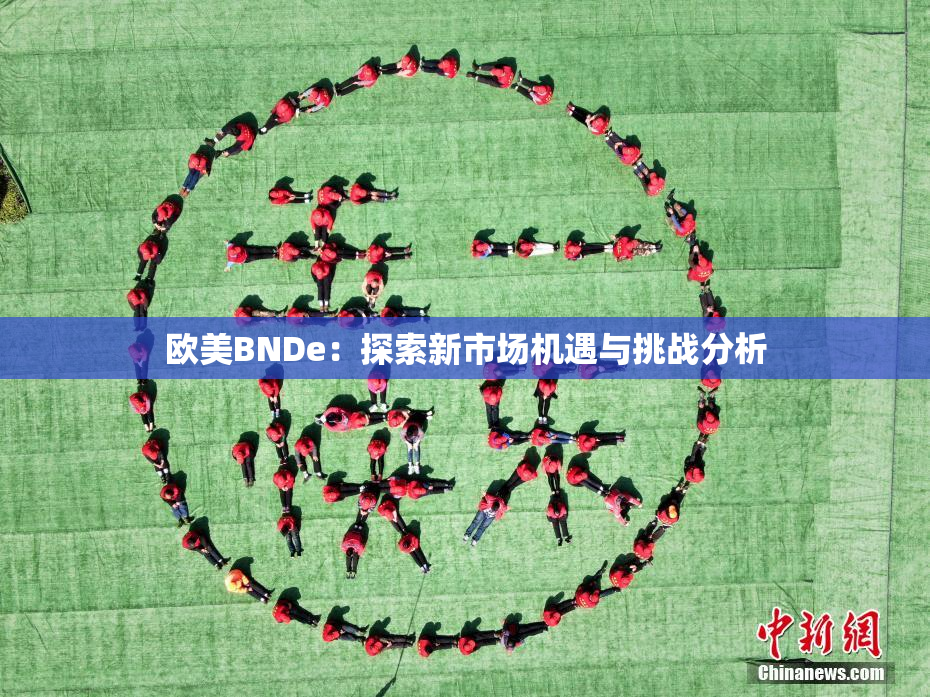 欧美BNDe：探索新市场机遇与挑战分析