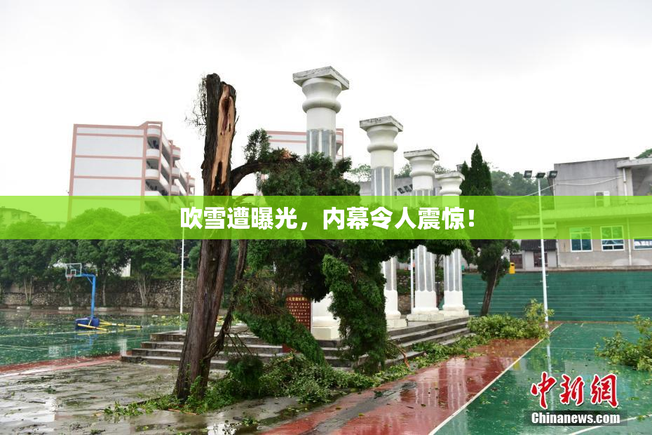 吹雪遭曝光，内幕令人震惊！