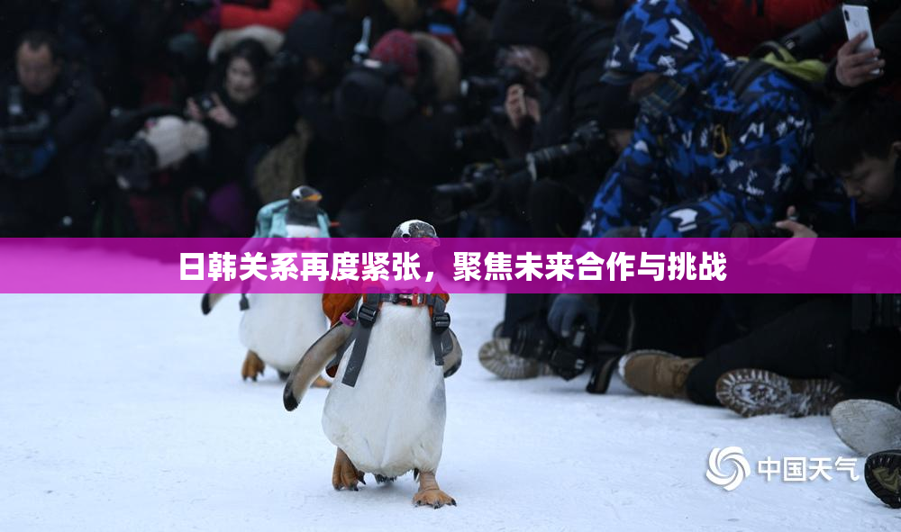 日韩关系再度紧张，聚焦未来合作与挑战