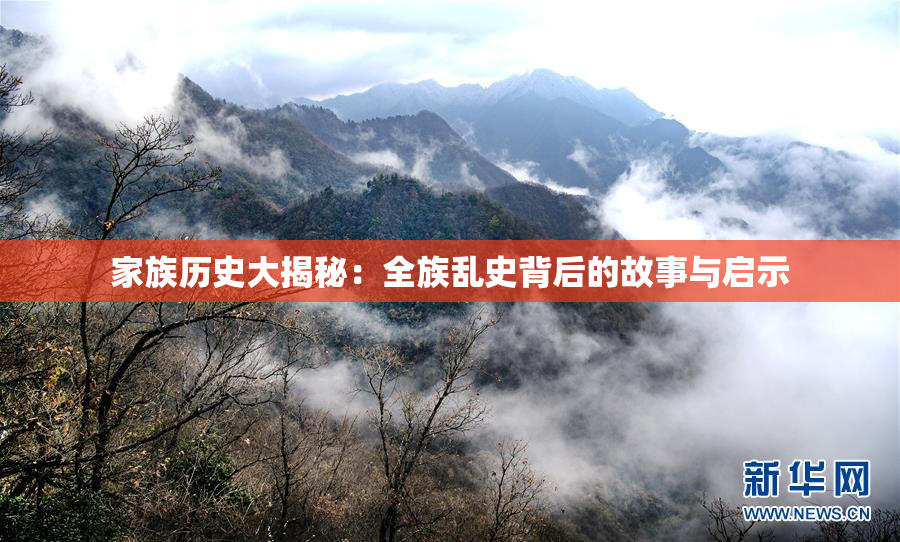 家族历史大揭秘：全族乱史背后的故事与启示