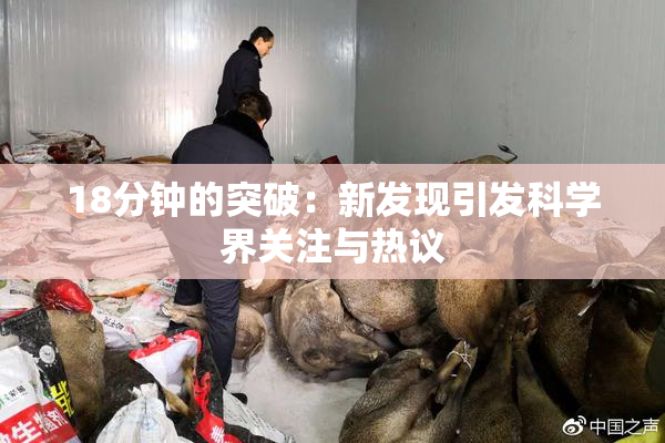 18分钟的突破：新发现引发科学界关注与热议