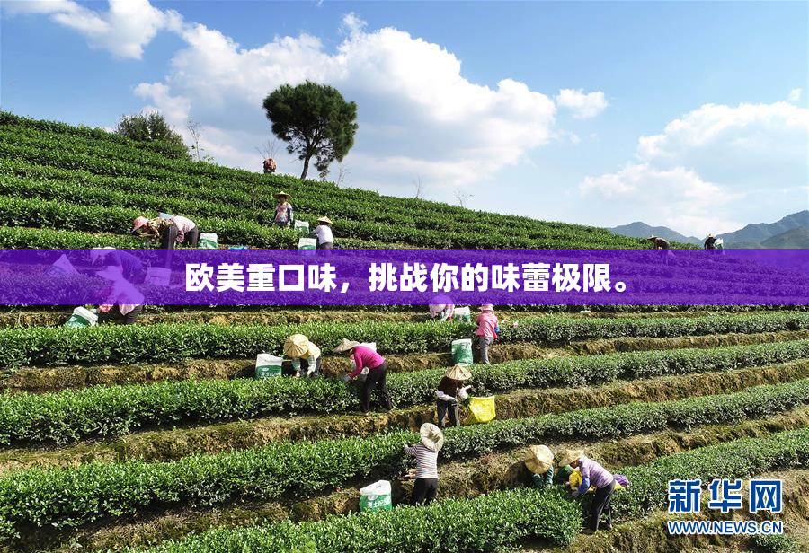 欧美重口味，挑战你的味蕾极限。