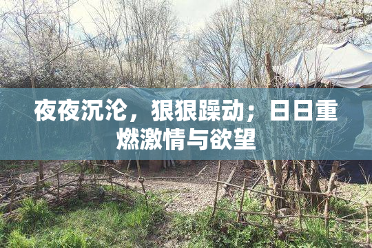 夜夜沉沦，狠狠躁动；日日重燃激情与欲望