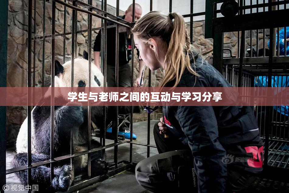 学生与老师之间的互动与学习分享