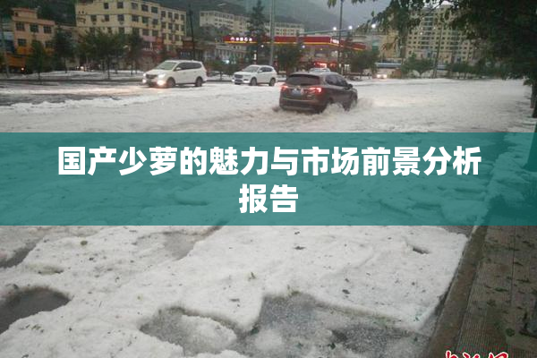 国产少萝的魅力与市场前景分析报告