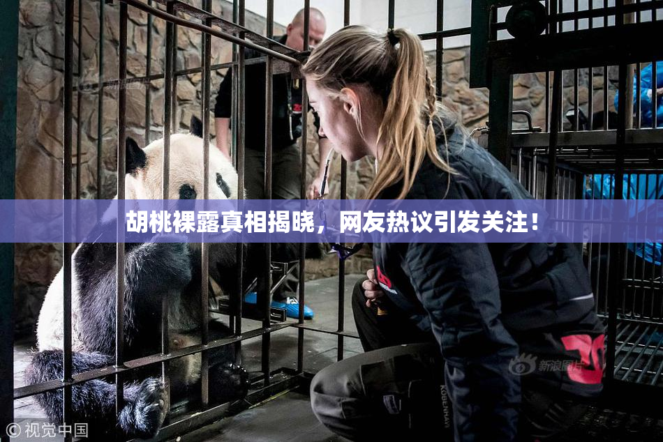 胡桃裸露真相揭晓，网友热议引发关注！
