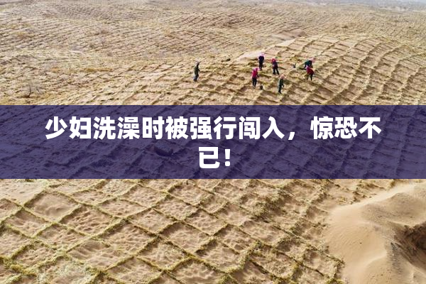 少妇洗澡时被强行闯入，惊恐不已！