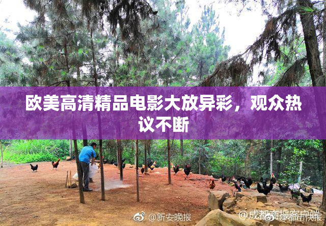欧美高清精品电影大放异彩，观众热议不断