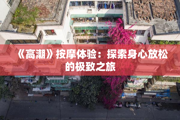 《高潮》按摩体验：探索身心放松的极致之旅