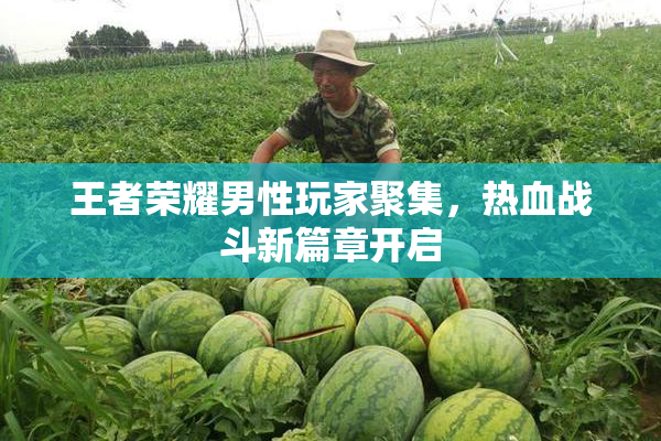 王者荣耀男性玩家聚集，热血战斗新篇章开启