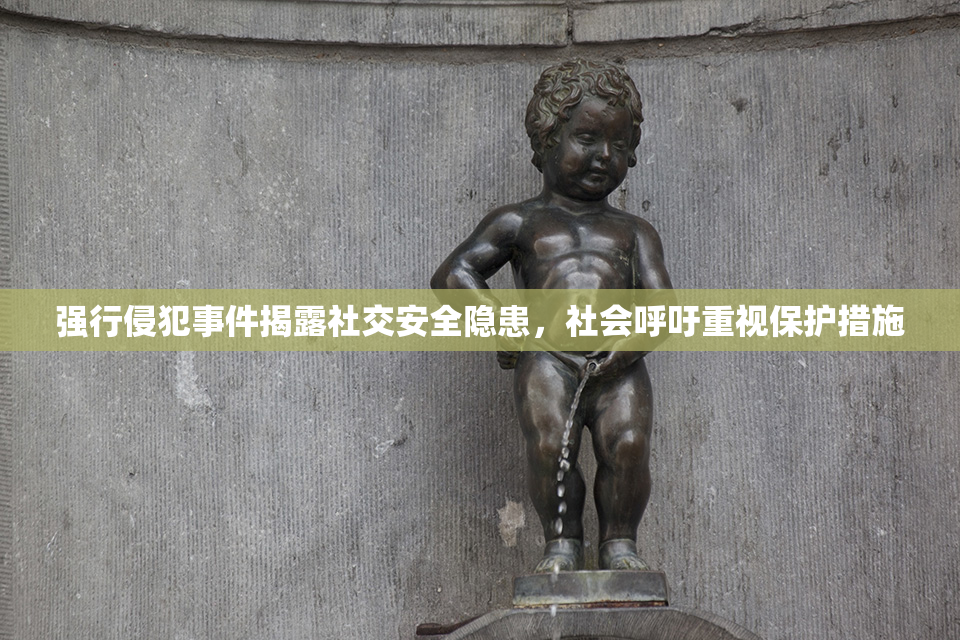 强行侵犯事件揭露社交安全隐患，社会呼吁重视保护措施