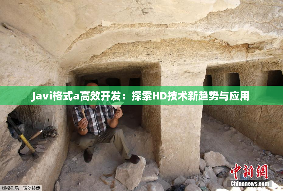 Javi格式a高效开发：探索HD技术新趋势与应用