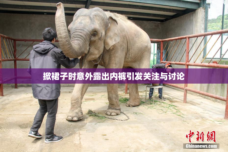 掀裙子时意外露出内裤引发关注与讨论