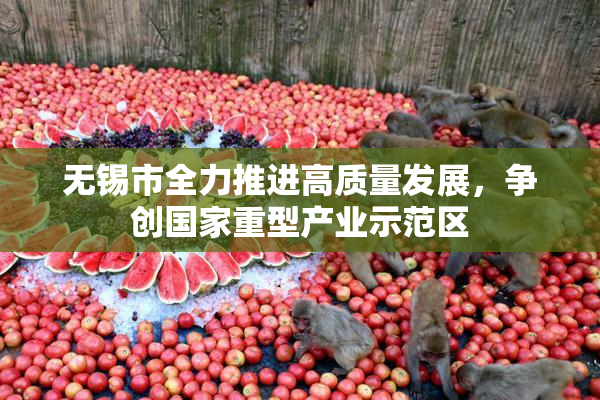 无锡市全力推进高质量发展，争创国家重型产业示范区