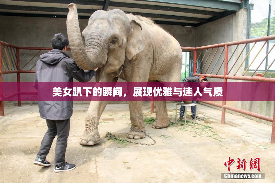 美女趴下的瞬间，展现优雅与迷人气质